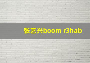 张艺兴boom r3hab